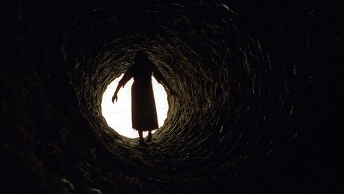 The Ring Two - Vòng Tròn Oan Nghiệt 2 || Tiếng Chuông 2 - Hình 5