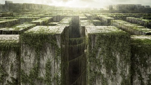 The Maze Runner - Giải Mã Mê Cung - Hình 3
