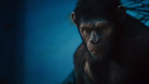 Rise of the Planet of the Apes - Sự Trỗi Dậy Của Hành Tinh Khỉ - Hình 3