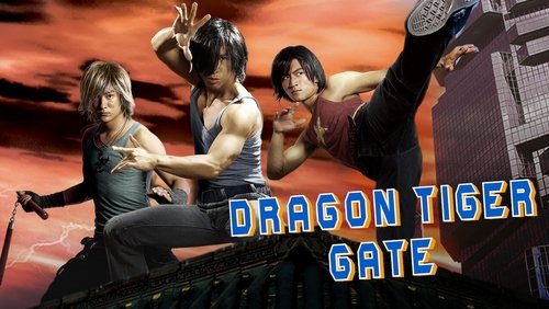 Dragon Tiger Gate - Long Hổ Môn - Hình 4