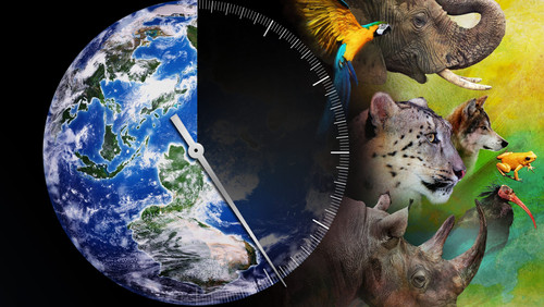 Racing Extinction - Cuộc Đua Tuyệt Chủng - Hình 1