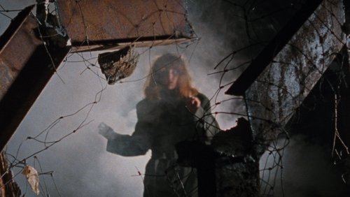 The Evil Dead - Ma Cây - Hình 1