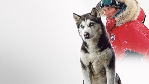 Eight Below - Âm Tám Độ - Hình 1