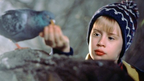 Home Alone 2: Lost in New York - Ở Nhà Một Mình 2: Lạc Ở New York - Hình 2