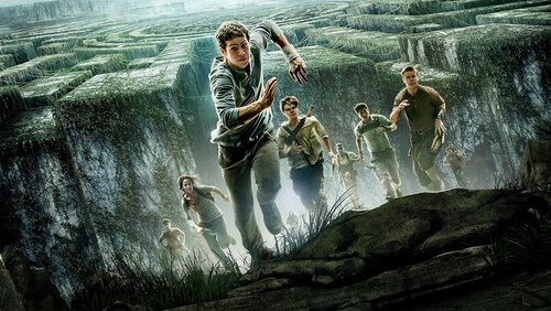 The Maze Runner - Giải Mã Mê Cung - Hình 1