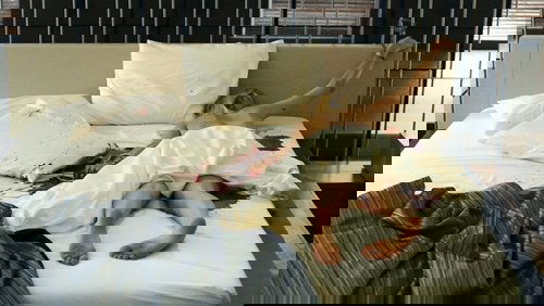 <a class='seoclass' href='/phim/the-loft-512' title='Xem phim The Loft'>The Loft</a> - <a class='seoclass' href='/phim/the-loft-512' title='Xem phim Tội Ác Trên Gác Mái'>Tội Ác Trên Gác Mái</a> - Hình 1