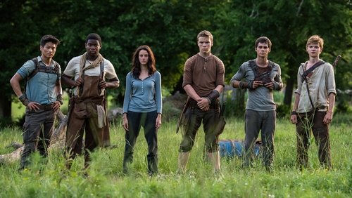 The Maze Runner - Giải Mã Mê Cung - Hình 2