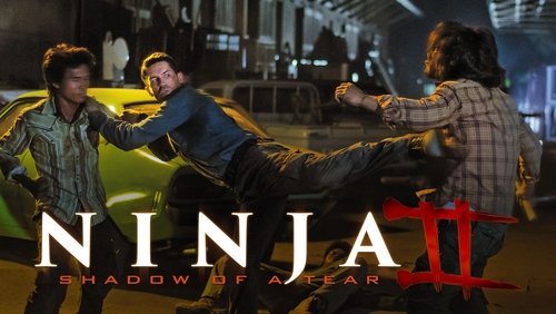 Ninja: Shadow of a Tear - Ninja 2: Ninja Báo Thù - Hình 3