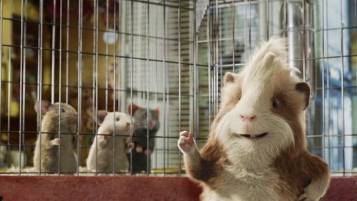 G-Force - Biệt Đội Chuột Lang - Hình 3