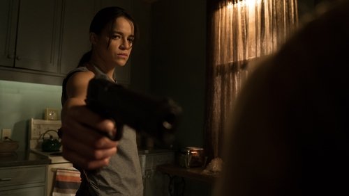 The Assignment - Sát Thủ Báo Thù - Hình 4