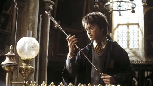 Harry Potter And The Chamber Of Secrets - Harry Potter Và Phòng Chứa Bí mật - Hình 2