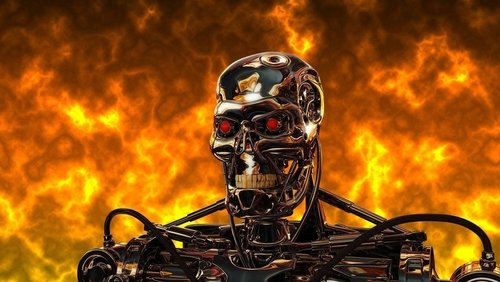 Terminator 3: Rise of the Machines - Kẻ Hủy Diệt 3: Người Máy Nổi Loạn - Hình 3