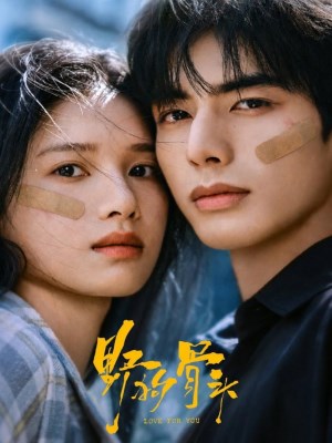 Chó Hoang Và Xương